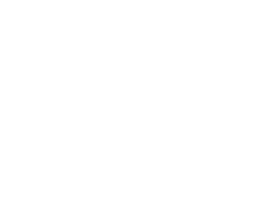 United for Peace & Justice